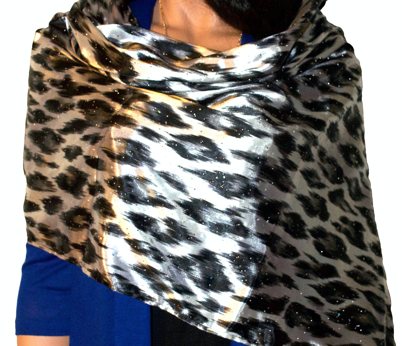 Snow Leopard - Image 2